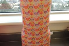 Dscn0043